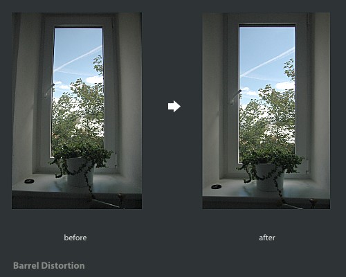 Barrel Distoration